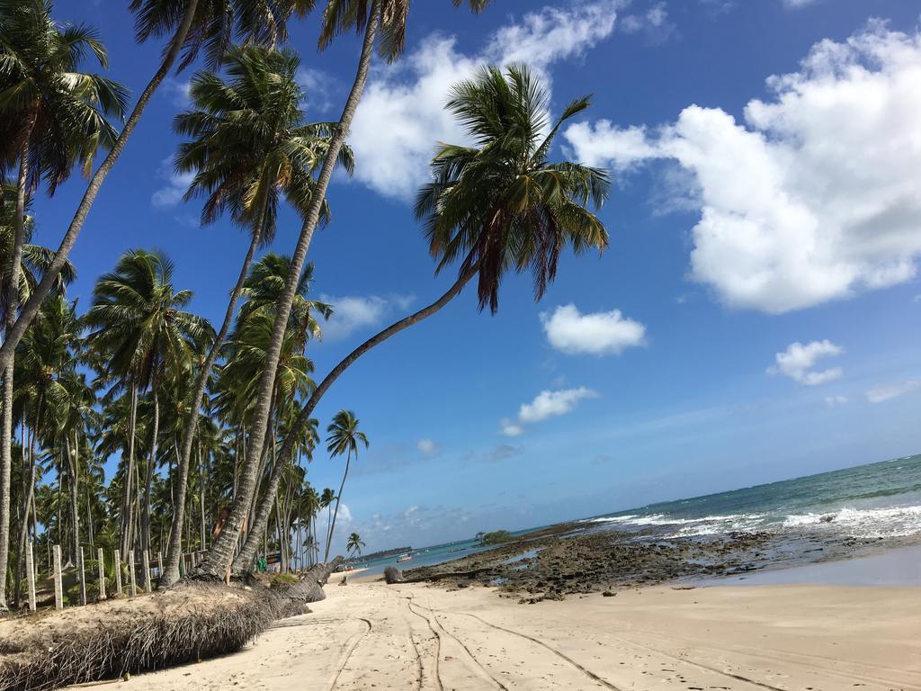 Praia dos Carneiros apart beira-mar Tamandaré Exterior foto